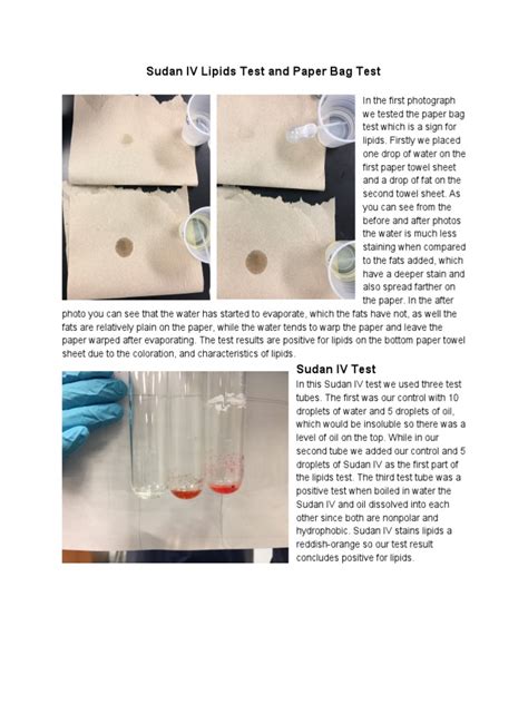 sudan test for lipids|A review of analytical techniques for determination of Sudan I–IV .